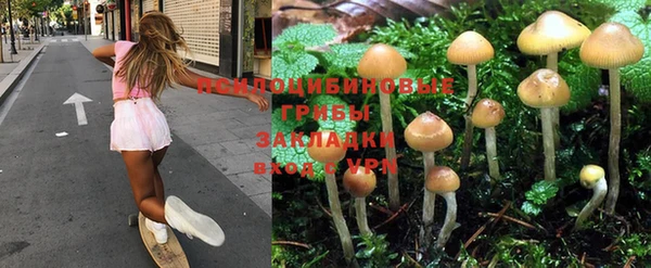 прущая мука Волоколамск