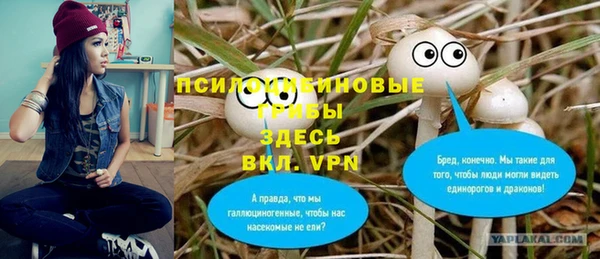 прущая мука Волоколамск