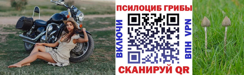 Галлюциногенные грибы ЛСД  кракен маркетплейс  маркетплейс Telegram  Владимир 
