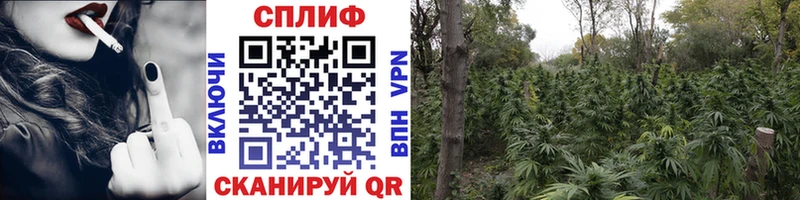 закладка  Владимир  Шишки марихуана гибрид 